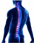 Richardson Chiropractic Services