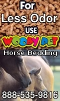Wholesale Horse Supplies Dallas 