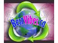 BestVibes, Dallas - logo